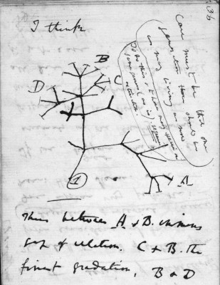 darwin-evrimagaci-sc
