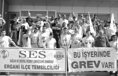 ses-grev-bw-cr