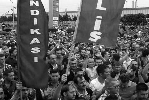 sisecam-grev-bw-crop