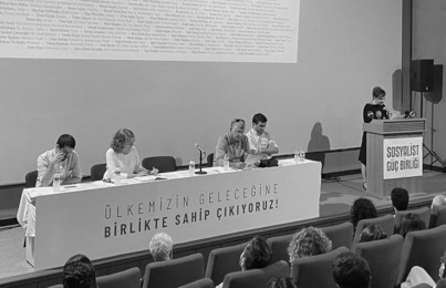 sosyalist güc birligi ilan